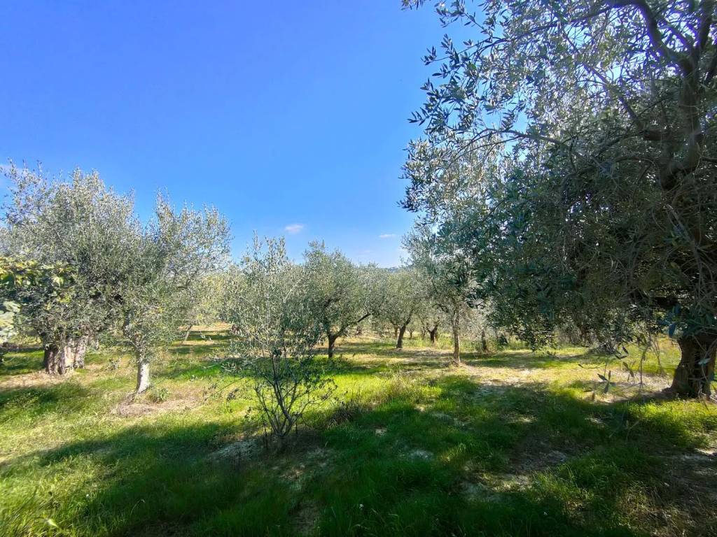 Terreno a Chieti in Strada Peschiera - Foto 3