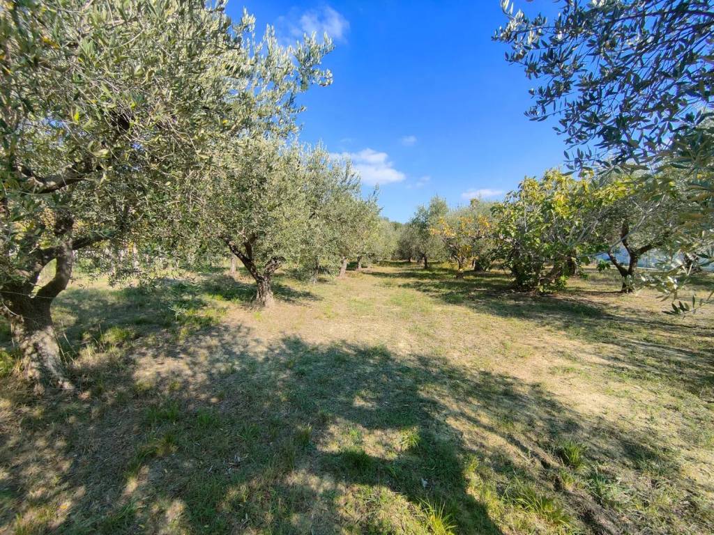 Terreno a Chieti in Strada Peschiera - Foto 4