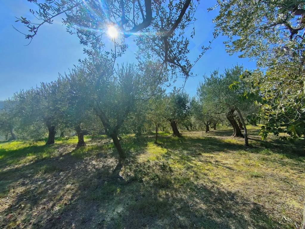 Terreno a Chieti in Strada Peschiera - Foto 5