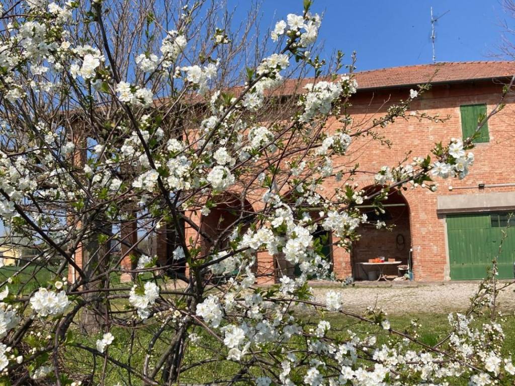 Villa a Medicina in Via del Piano, 1413 - Foto 3