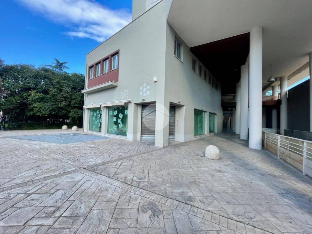 Loft / open space a Terni in Via Donatori di Organi, 16 - Foto 3