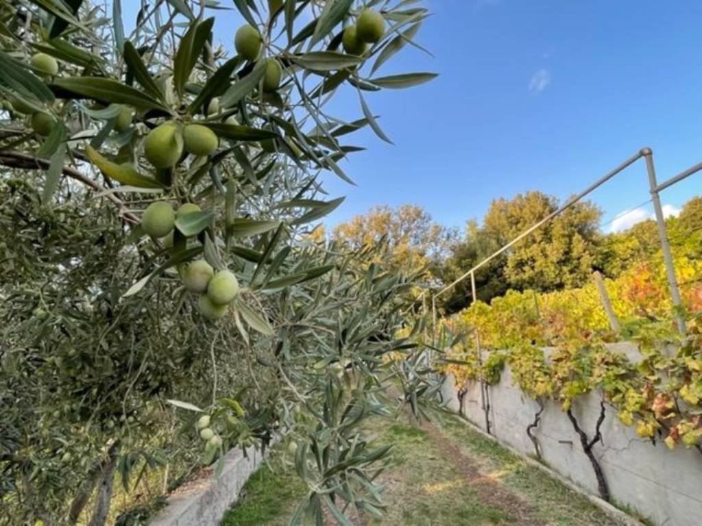 Villa a Scano di montiferro in Localita Saggioro s.n.c - Foto 3
