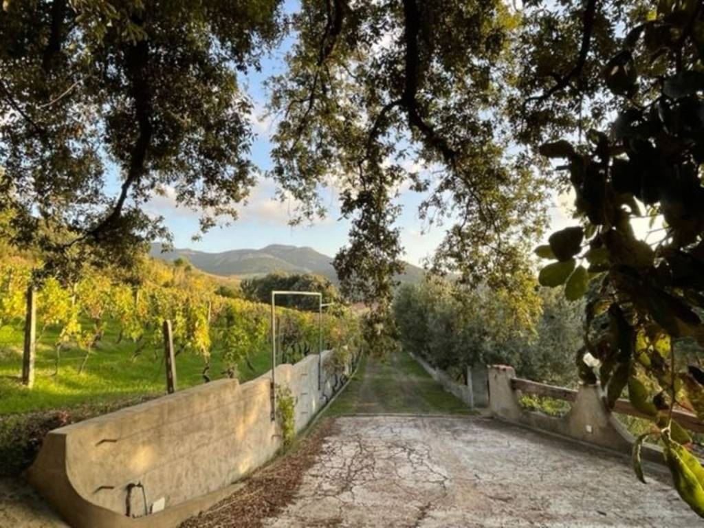 Villa a Scano di montiferro in Localita Saggioro s.n.c - Foto 4