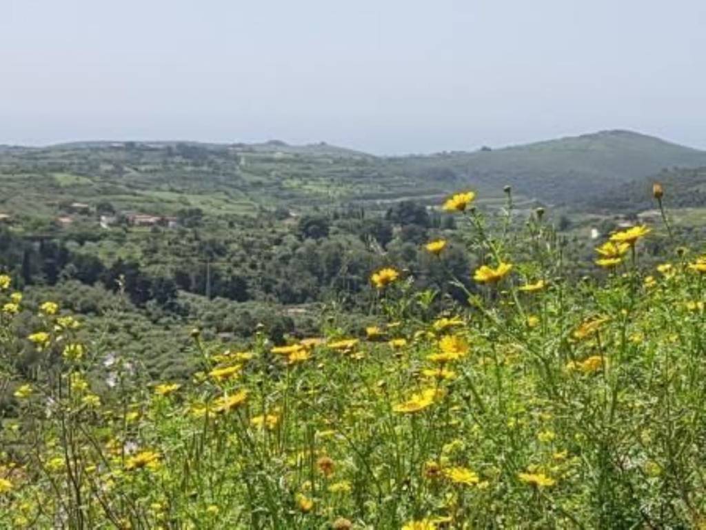 Terreno a Magomadas in Via Aldo Moro - Foto 2