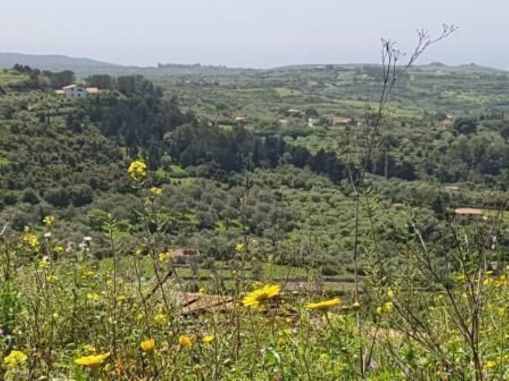 Terreno a Magomadas in Via Aldo Moro - Foto 5