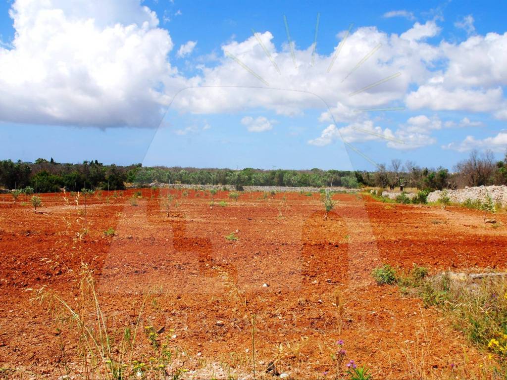 Terreno a Corsano in Strada Comunale Pozze Santa Maura - Foto 3