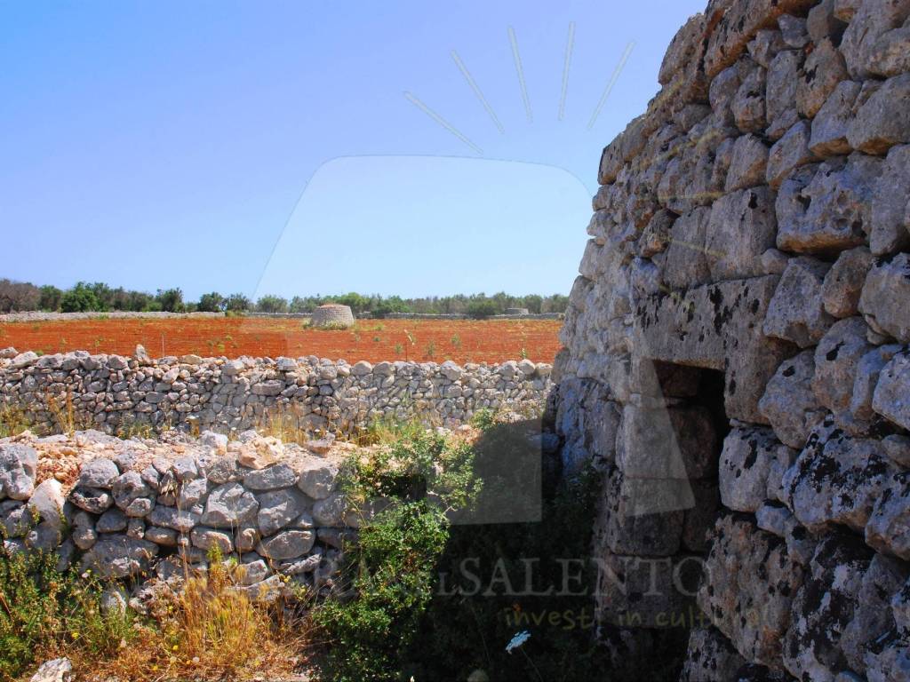 Terreno a Corsano in Strada Comunale Pozze Santa Maura - Foto 4