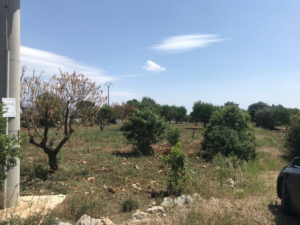 Appartamento a Ceglie messapica in Contrada ULMO s.n.c - Foto 2