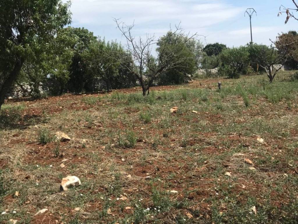 Appartamento a Ceglie messapica in Contrada ULMO s.n.c - Foto 4