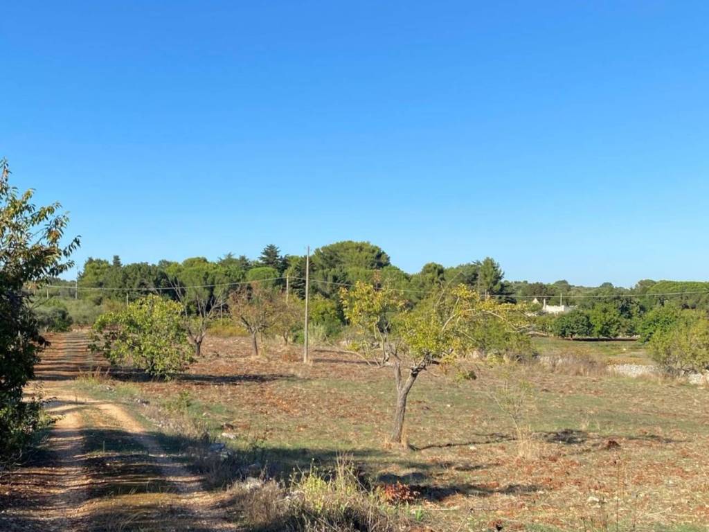 Rustico / casale a Ceglie messapica in C/da Sacramento s.n.c - Foto 2