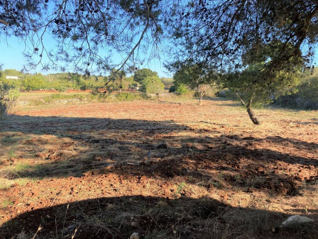 Rustico / casale a Ceglie messapica in C/da Sacramento s.n.c - Foto 3