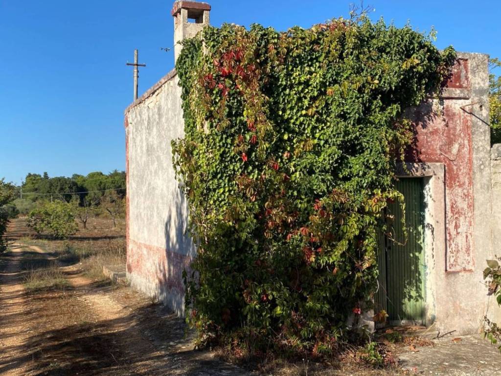 Rustico / casale a Ceglie messapica in C/da Sacramento s.n.c - Foto 5