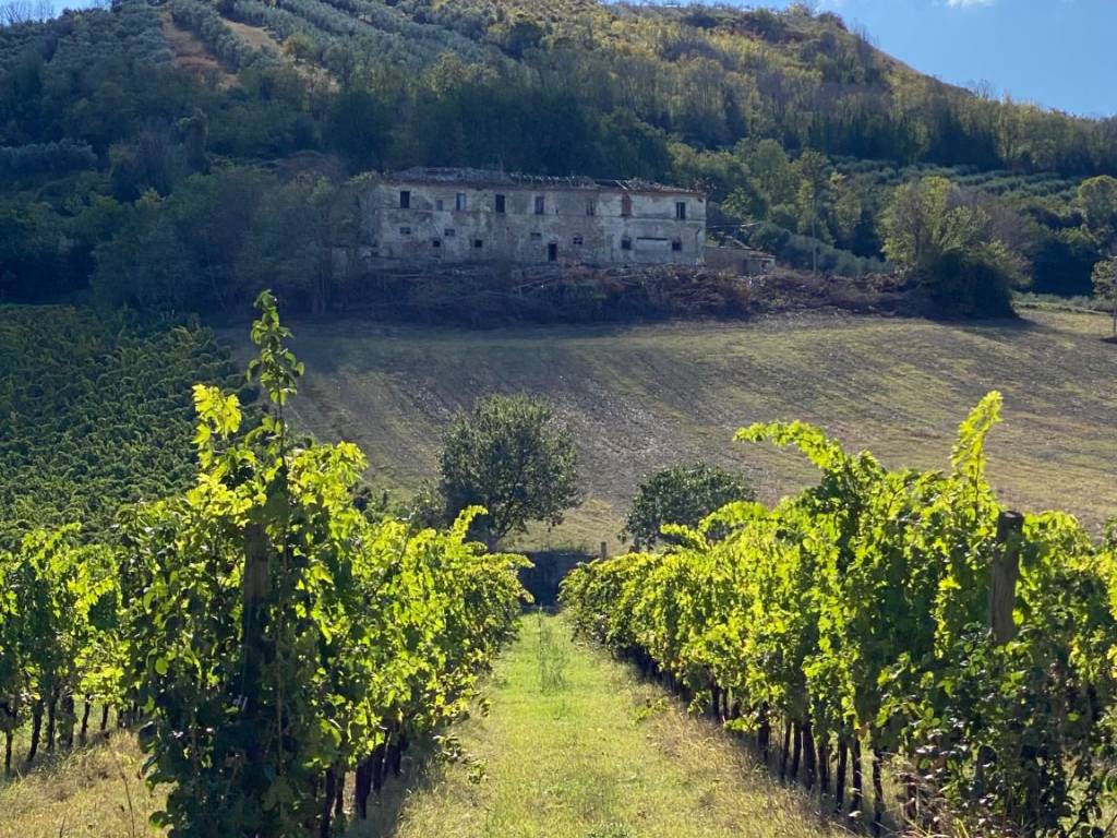 Rustico / casale a Controguerra in Contrada Piane Tronto - Foto 2