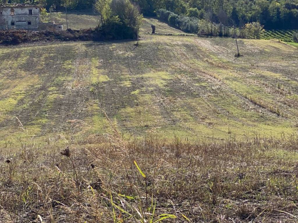 Rustico / casale a Controguerra in Contrada Piane Tronto - Foto 4