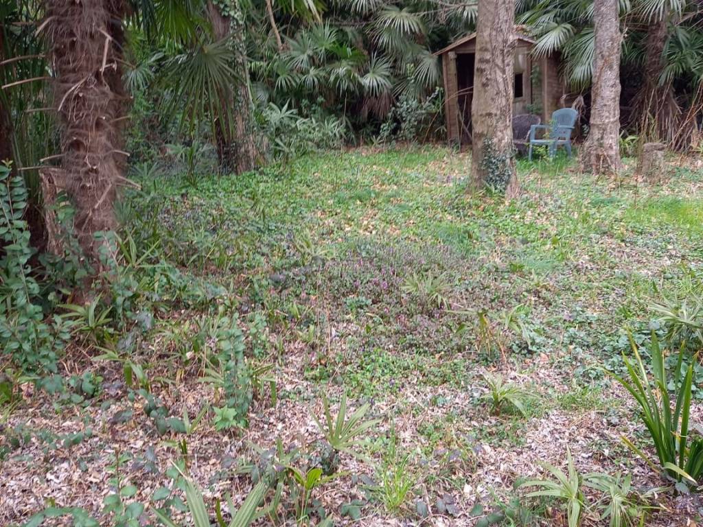 Terreno a Gavirate in Via al Motto - Foto 2