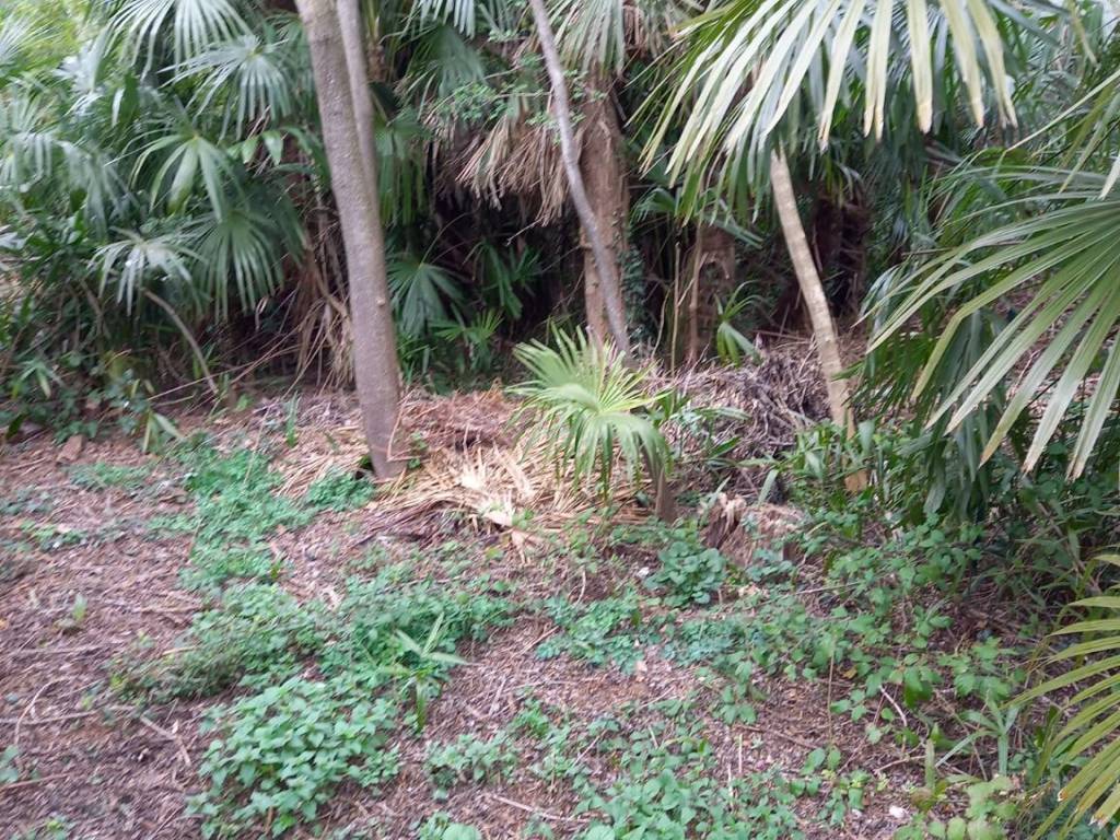 Terreno a Gavirate in Via al Motto - Foto 3