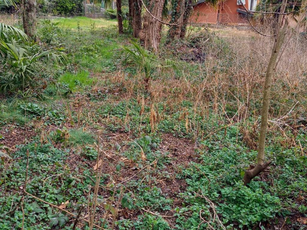 Terreno a Gavirate in Via al Motto - Foto 4