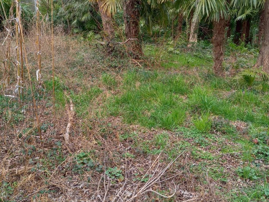 Terreno a Gavirate in Via al Motto - Foto 5