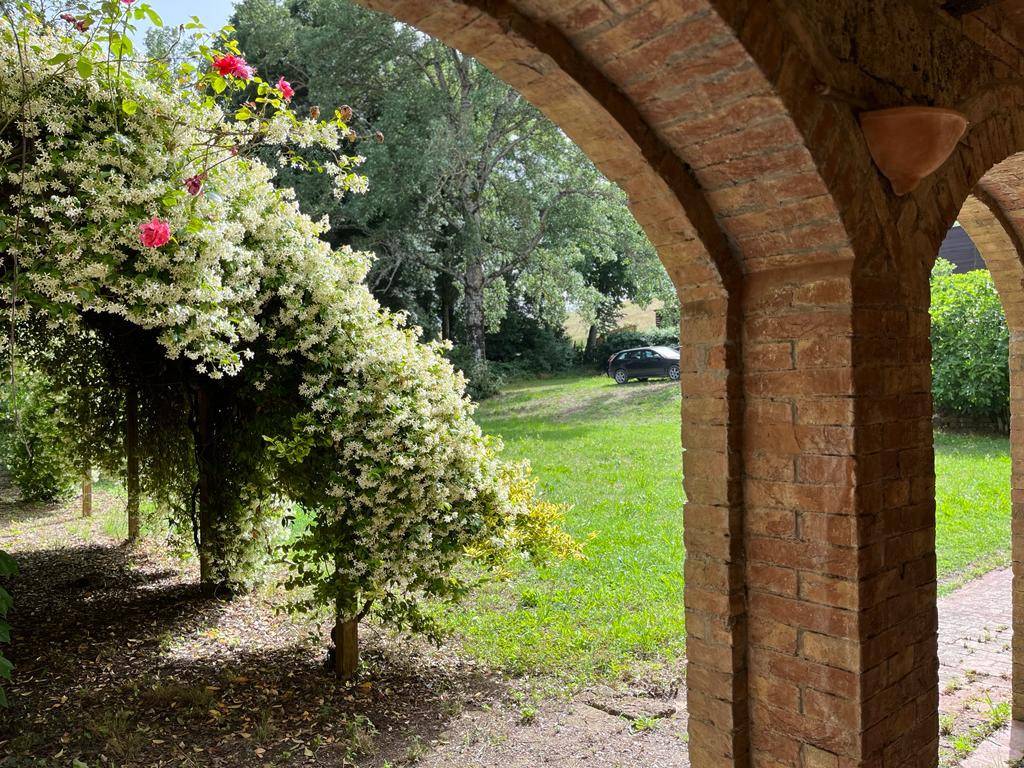 Rustico / casale a Sorano in Strada Provinciale Montorio - Foto 3