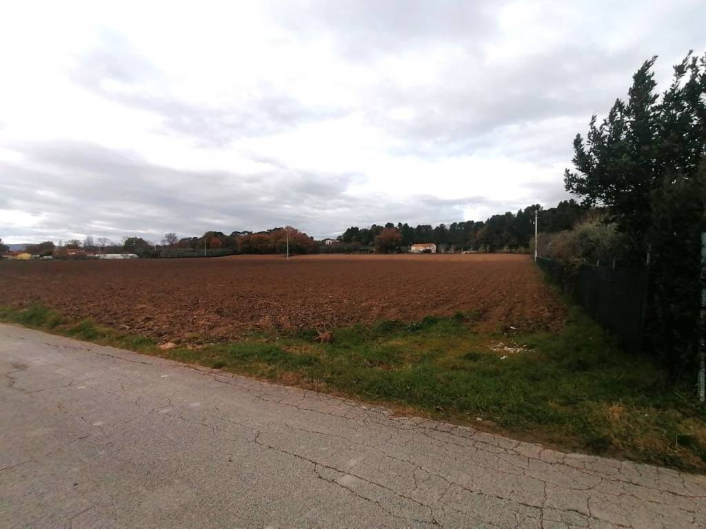 Terreno a Jesi - Foto 2