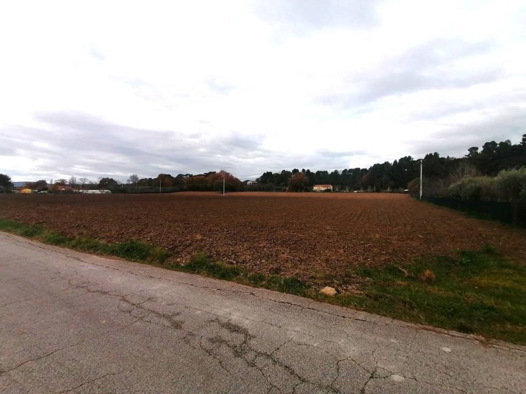 Terreno a Jesi - Foto 3