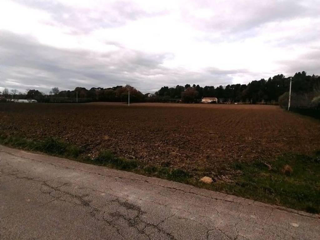 Terreno a Jesi - Foto 4