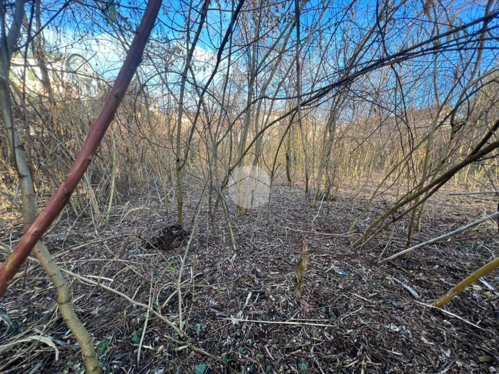 Terreno a Cremona in Via Angelo Massarotti, 14 - Foto 2