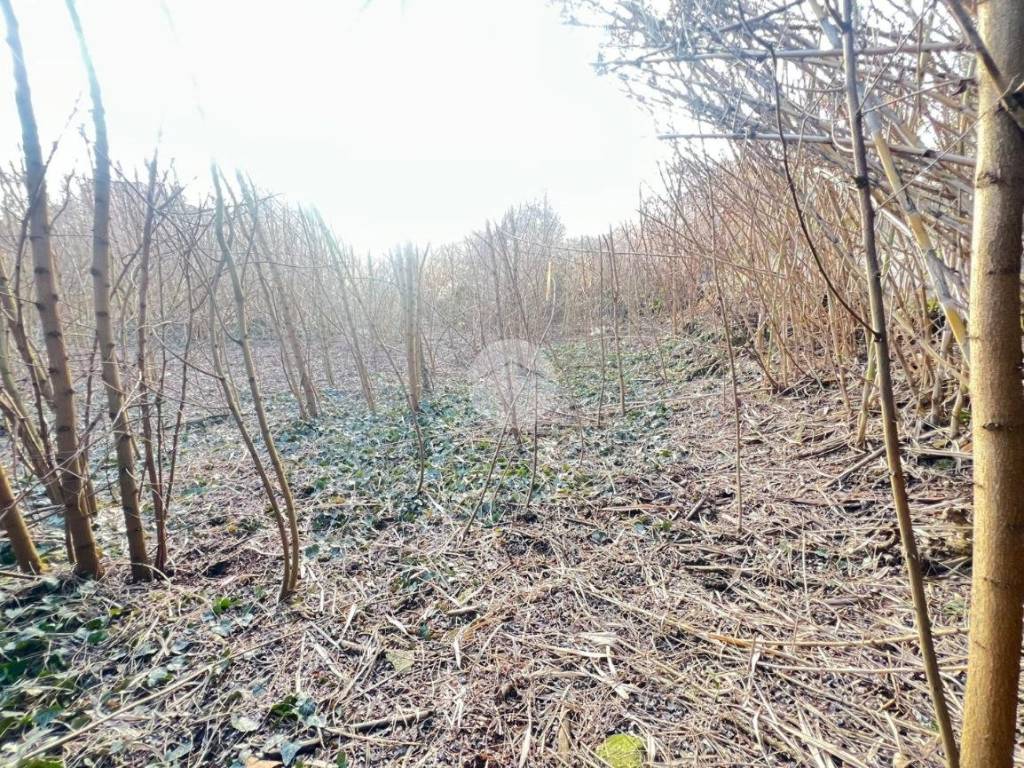Terreno a Cremona in Via Angelo Massarotti, 14 - Foto 3