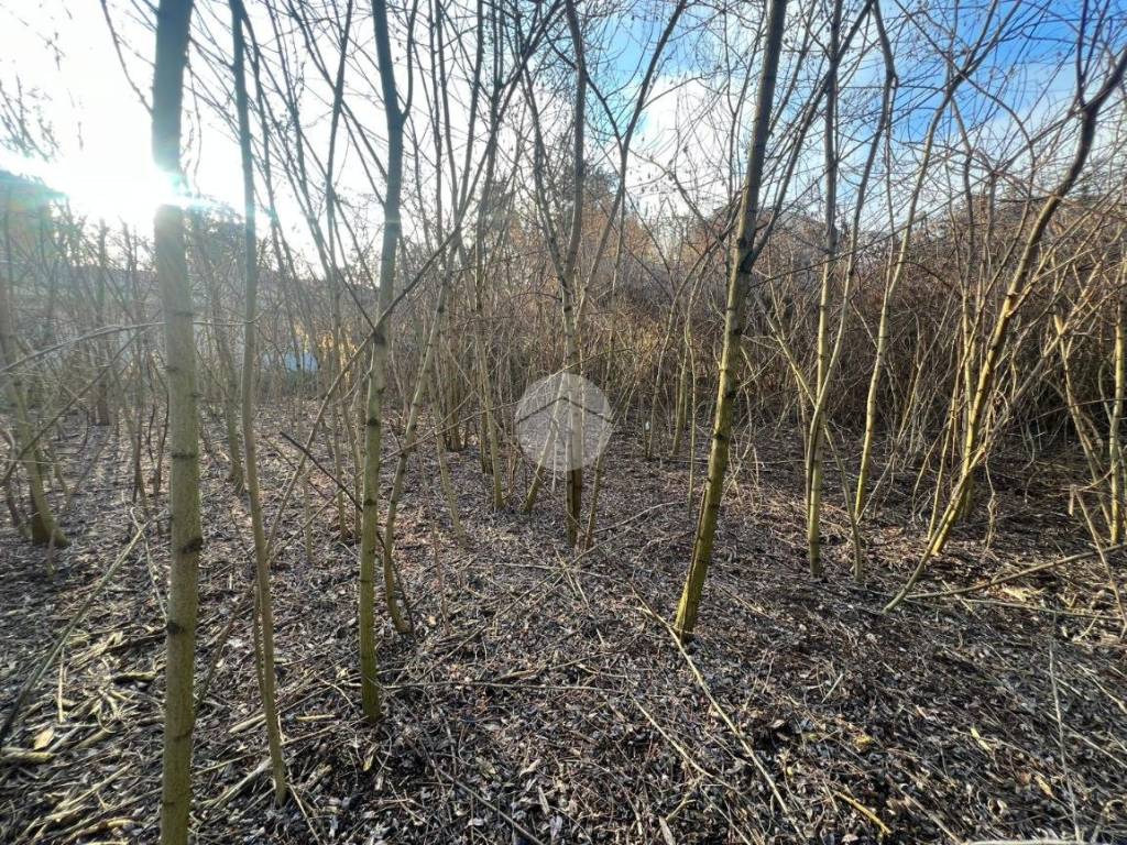 Terreno a Cremona in Via Angelo Massarotti, 14 - Foto 4