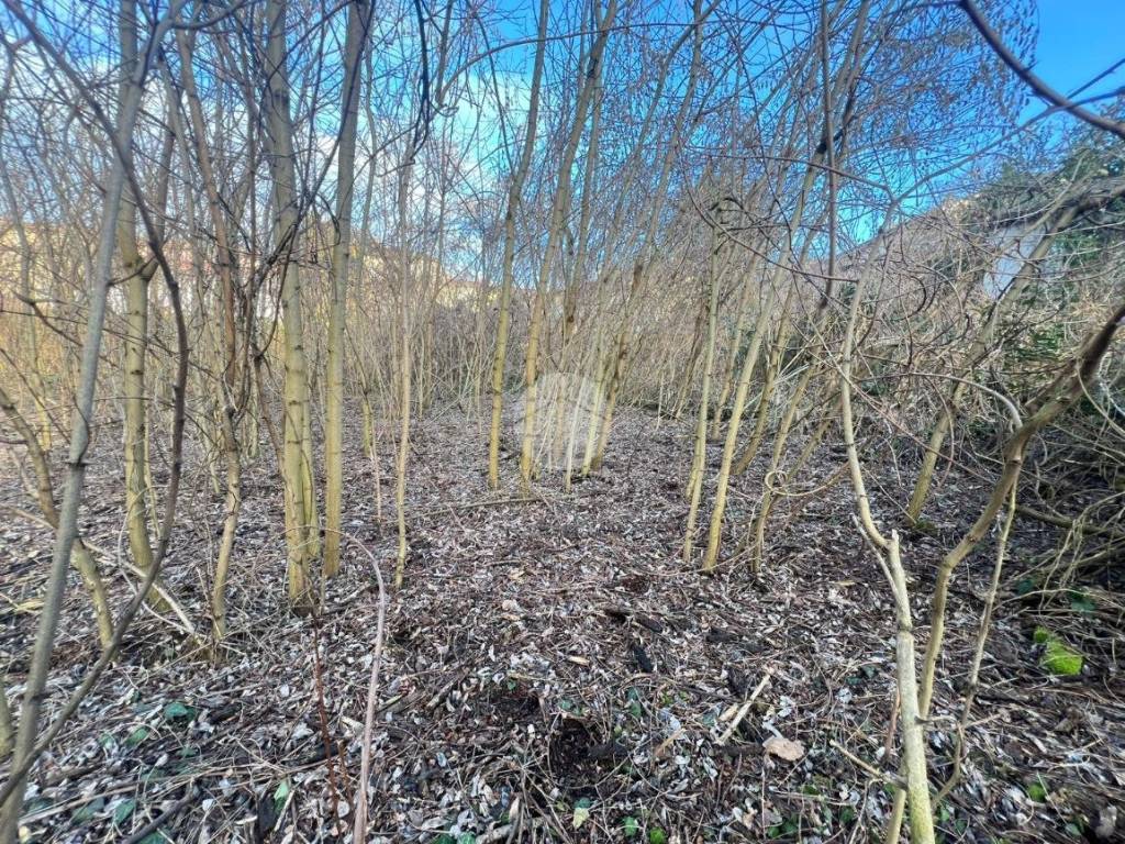 Terreno a Cremona in Via Angelo Massarotti, 14 - Foto 5