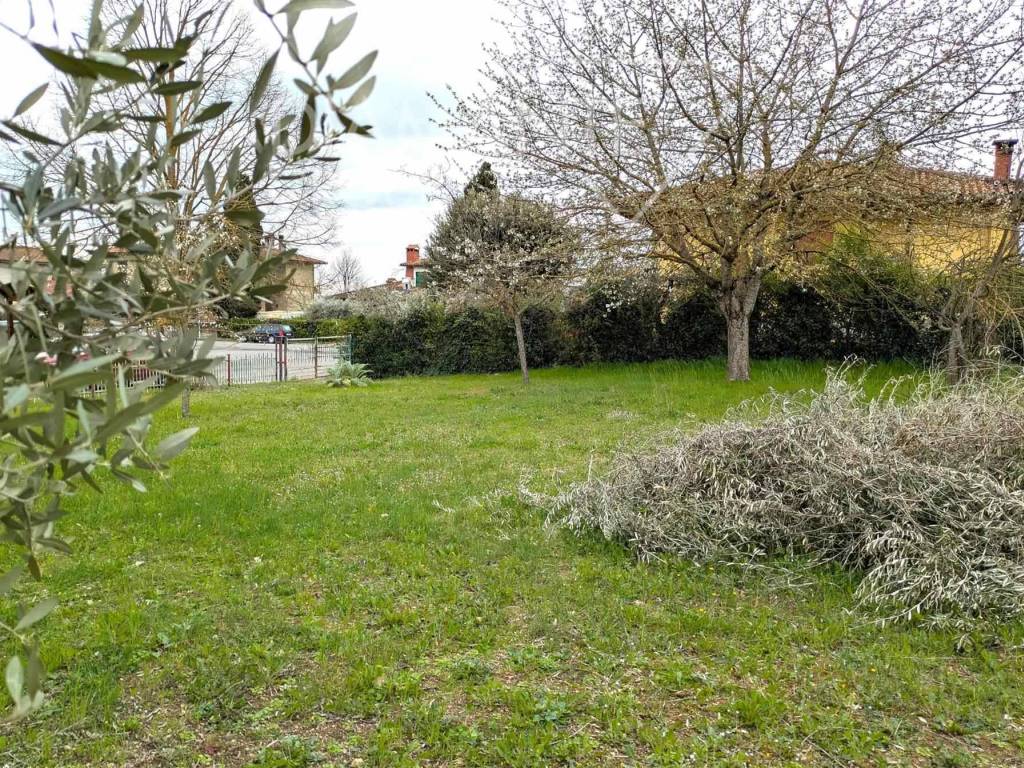 Terreno a Castiglione del lago - Foto 2