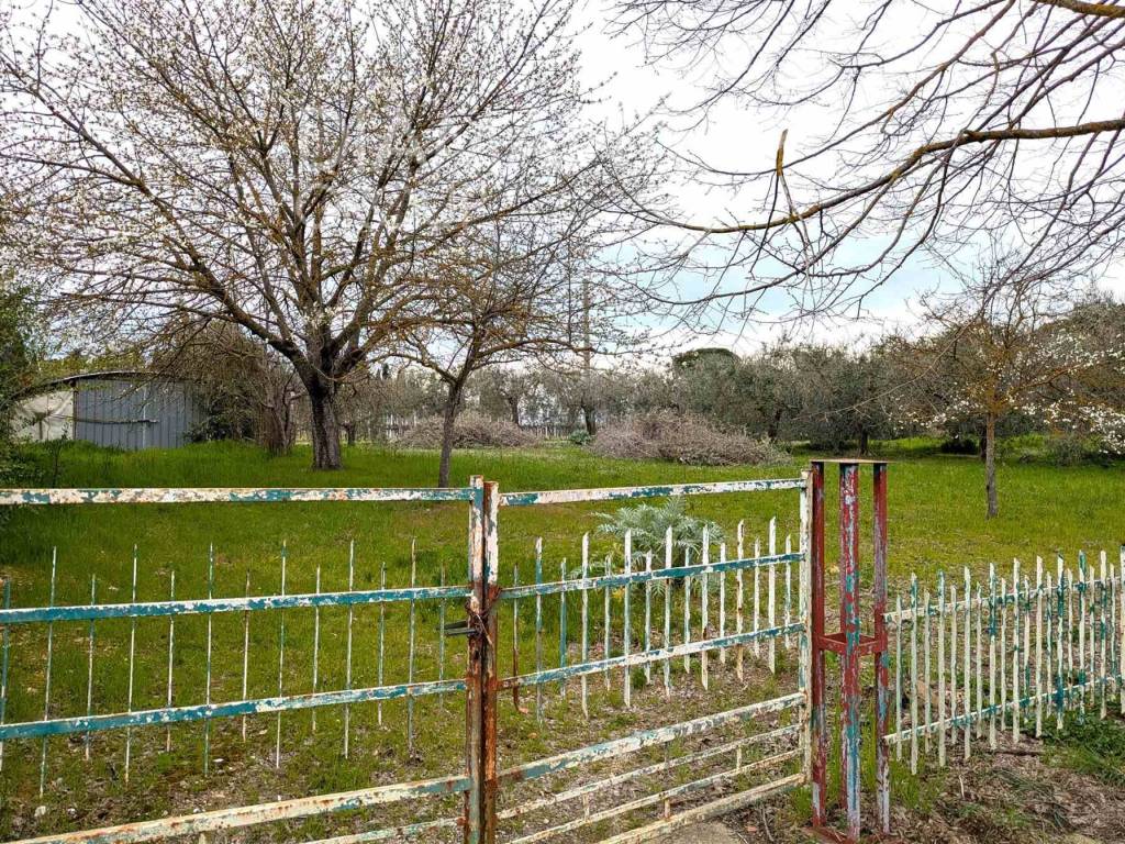 Terreno a Castiglione del lago - Foto 3