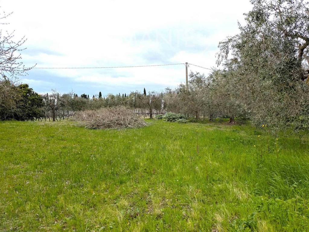 Terreno a Castiglione del lago - Foto 5