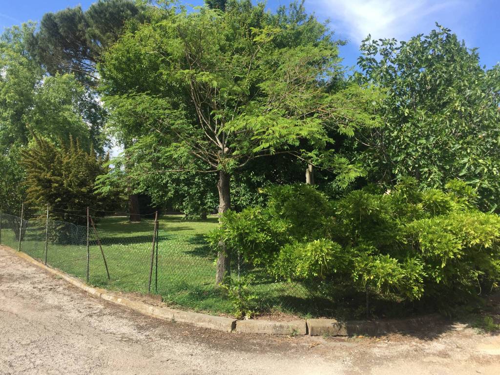 Rustico / casale a Bagnacavallo - Foto 2