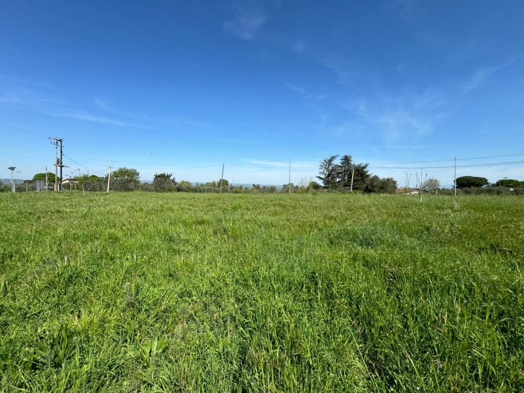 Terreno a Viterbo in Strada Querciaiolo - Foto 1