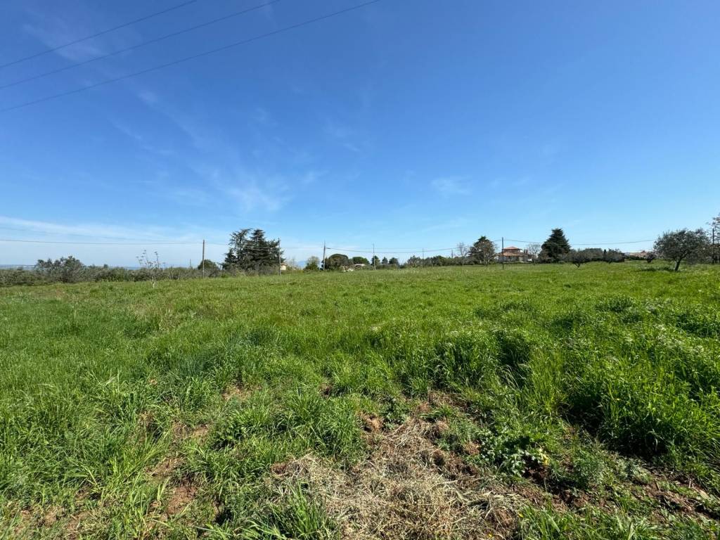 Terreno a Viterbo in Strada Querciaiolo - Foto 2