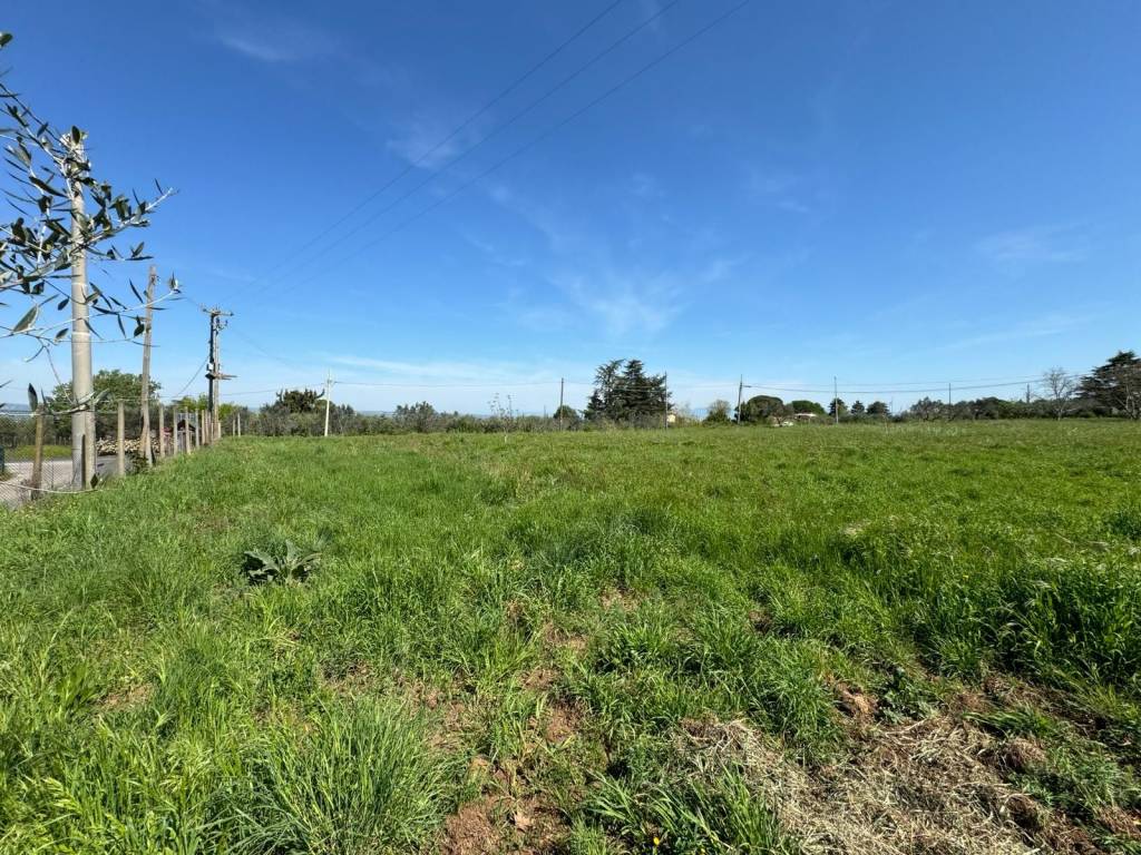 Terreno a Viterbo in Strada Querciaiolo - Foto 3