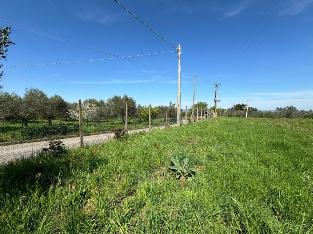 Terreno a Viterbo in Strada Querciaiolo - Foto 4