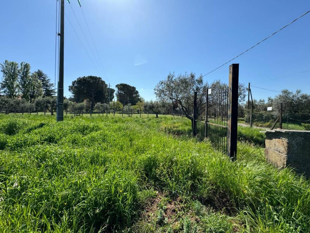 Terreno a Viterbo in Strada Querciaiolo - Foto 5