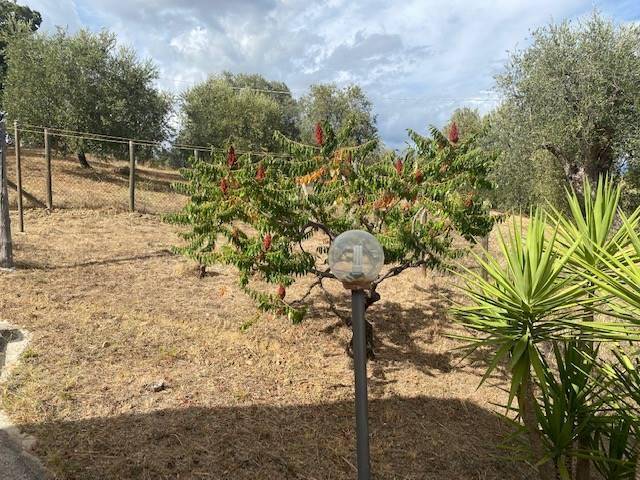 Appartamento a Magliano in toscana - Foto 3
