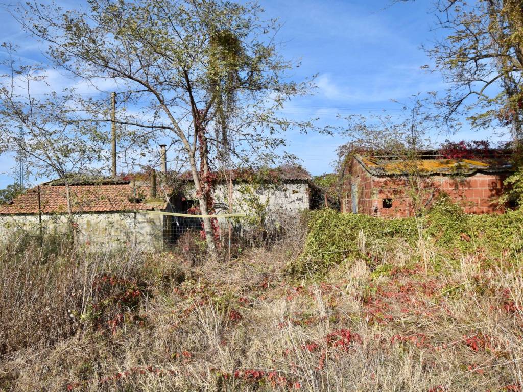 Rustico / casale a Campiglia marittima - Foto 2