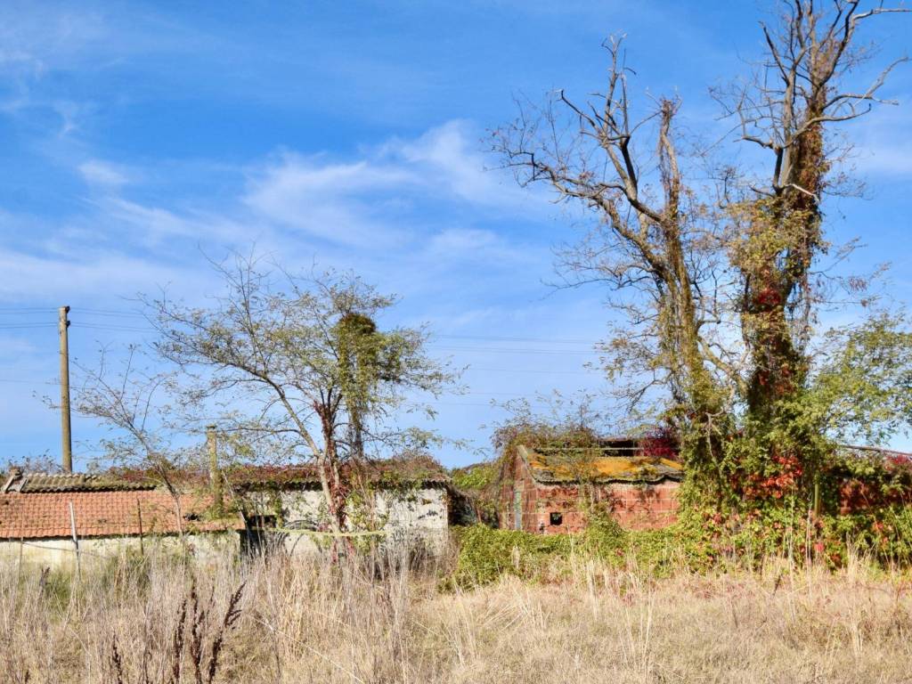Rustico / casale a Campiglia marittima - Foto 3