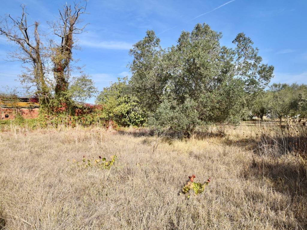 Rustico / casale a Campiglia marittima - Foto 4