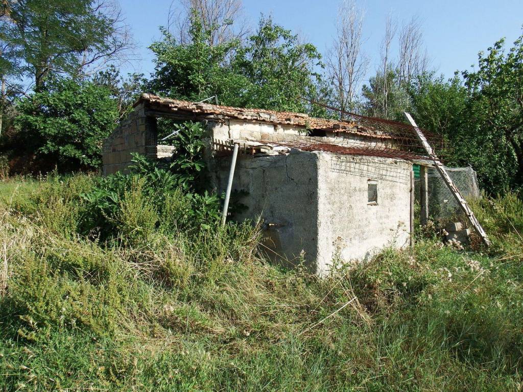 Rustico / casale a Senigallia in Via DEL CASALE s.n.c - Foto 3