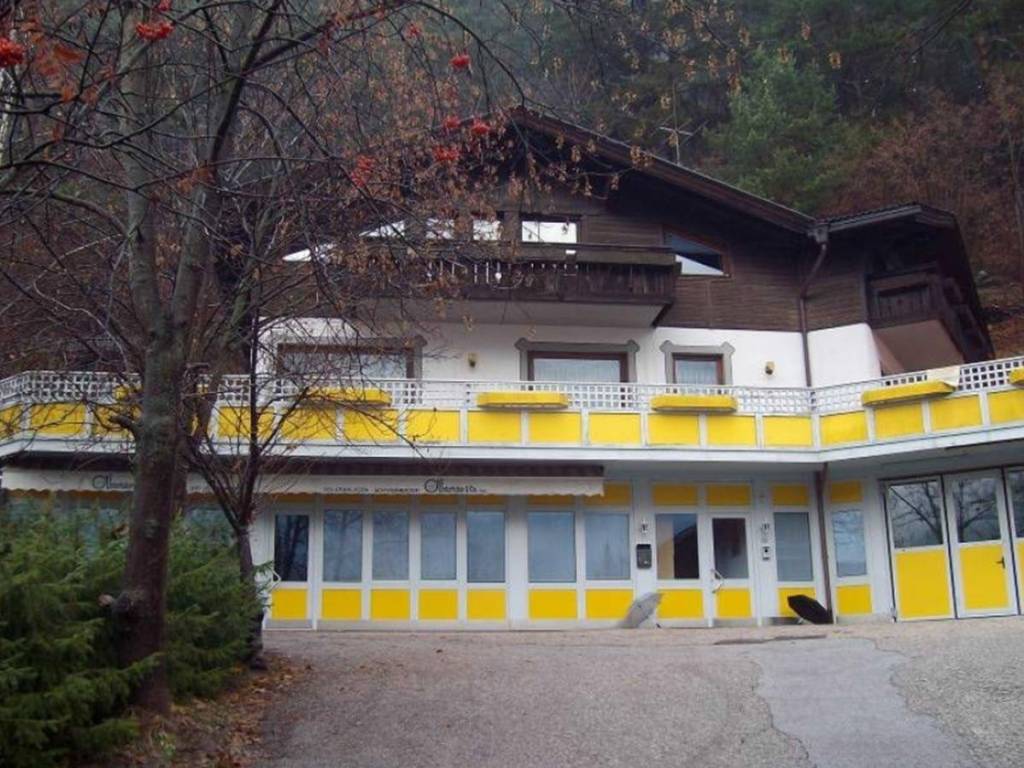 immagine di copertina