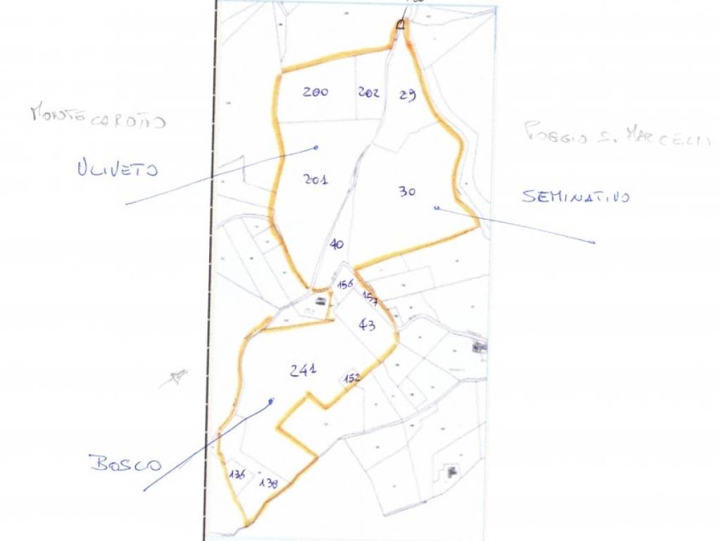 Terreno a Poggio san marcello - Foto 3