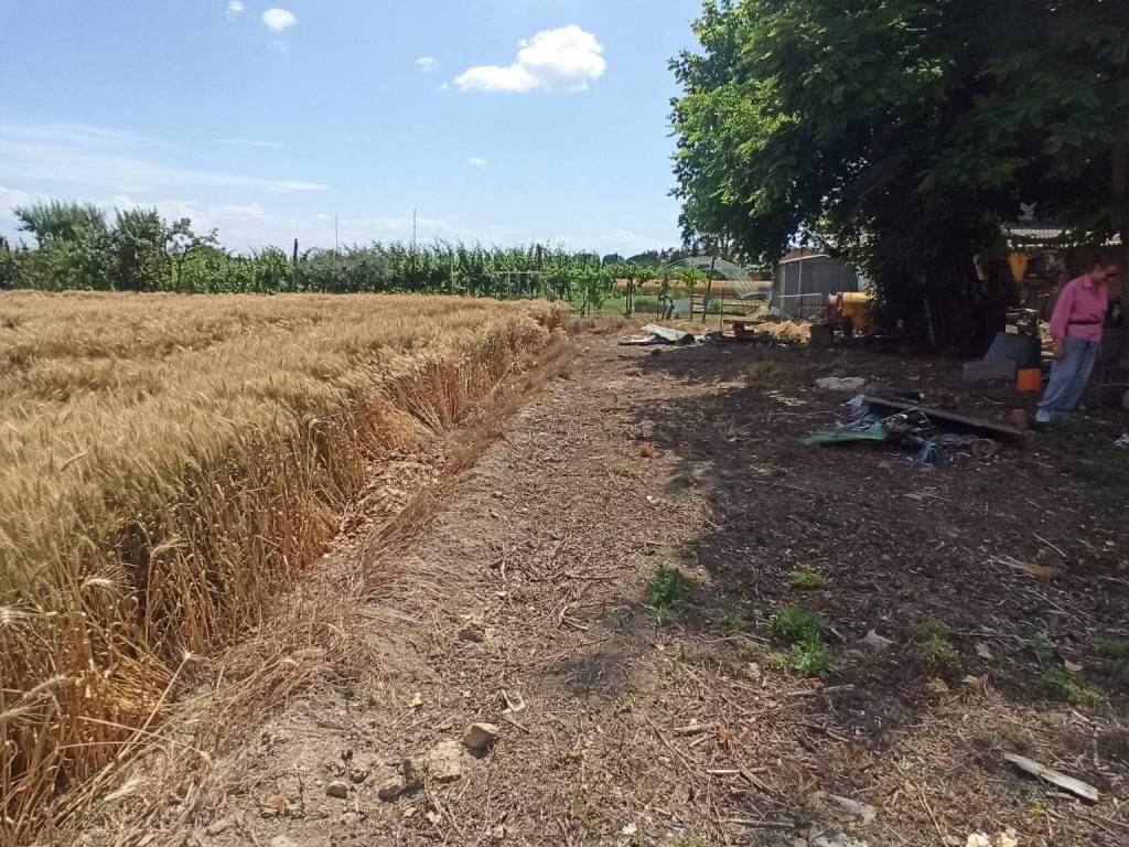 Villa a Ravenna in Via Piangipane, 326 - Foto 5