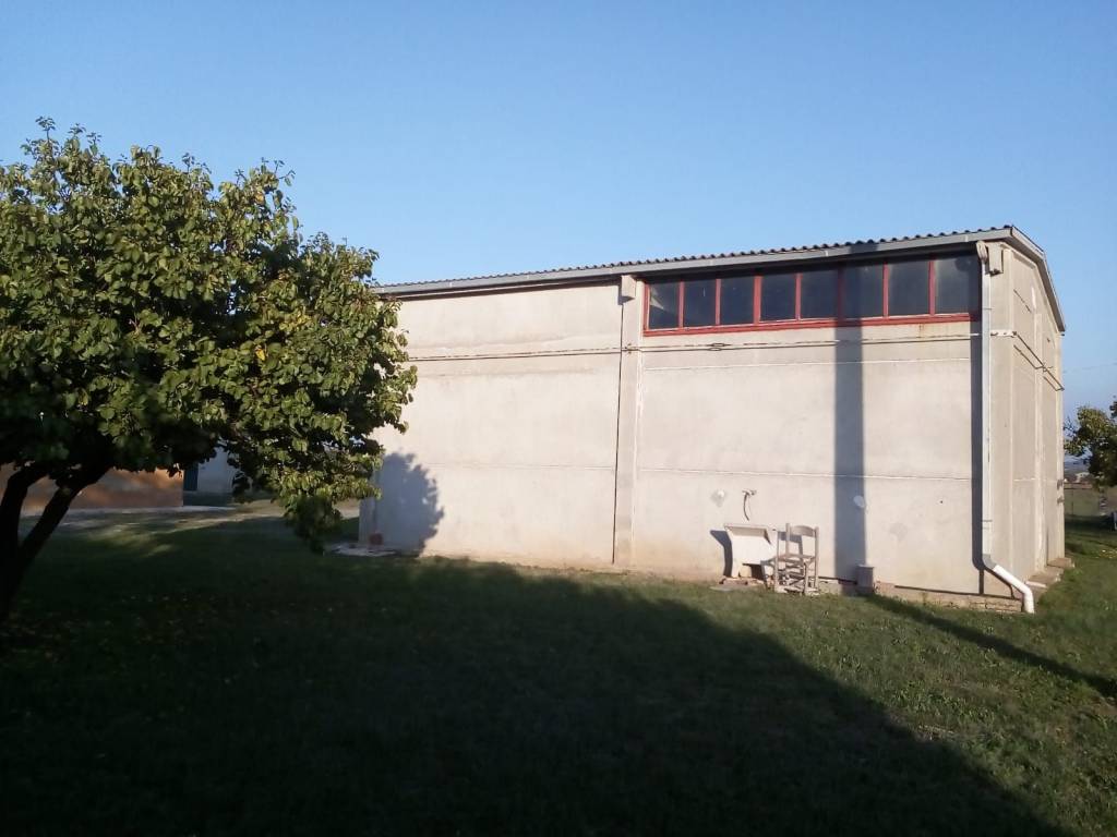 Rustico / casale a Orbetello - Foto 5