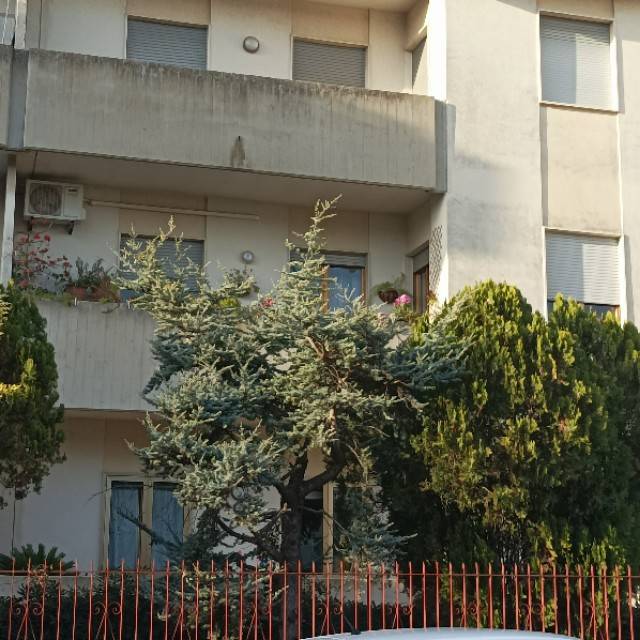 Appartamento a San cesario di lecce in Via Unità d'Italia - Foto 4