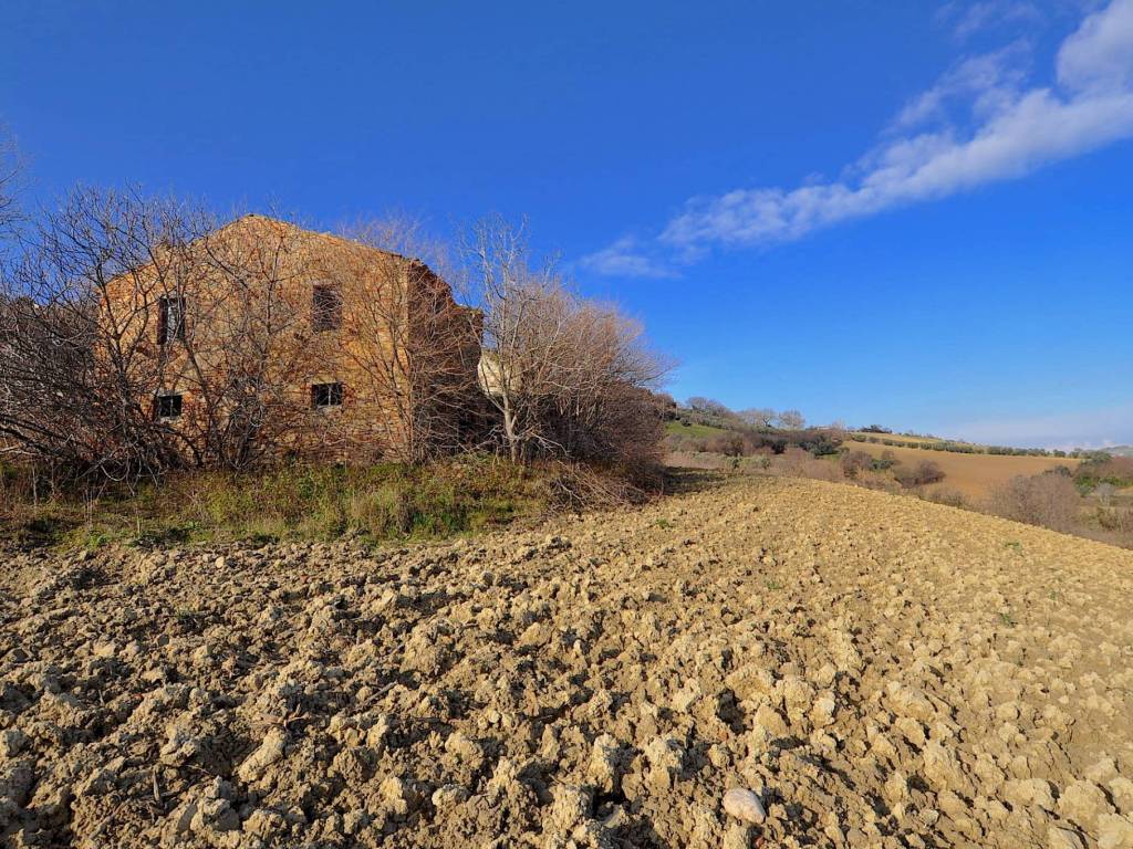 Rustico / casale a Ripatransone in Contrada Messieri - Foto 4